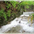 델라하우스 이미지