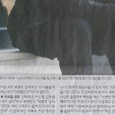 백호스포츠
