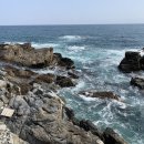 열린국제행정사사무소 이미지