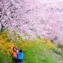 김유신장군로 이미지