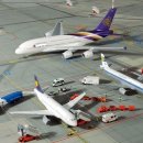 디오티카 이미지