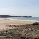 만리포해수욕장 관광지 이미지