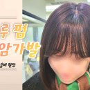 본모발