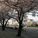 내동목련상가 이미지