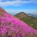 천주산 입구 | 창원 천주산 진달래 실시간 개화상황 달천계곡코스 주차장