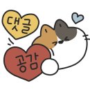 신고령촌돼지찌개 이미지