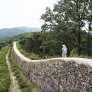 메밀농원