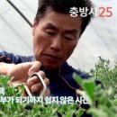 수정슈퍼 이미지