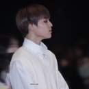 도현