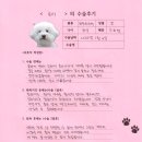 1486 | [#1486] 로이(좌측 슬개골탈구 G3 / 좌측 전방십자인대)의 수술후기