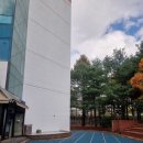 [겨울]논리바둑 | 서울시 강서구 IYC 유아스포츠단(KINDERGYM) 입학 설명회 후기