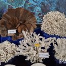 울산 해양박물관 이미지