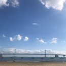 베러먼데이(Better Monday) | [일상포스팅]베러먼데이 Better Monday 카페 수영점 방문후기