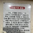 섬진강다슬기수제비 | 광주 쌍촌동 맛집 섬진강다슬기수제비 내돈내산 후기