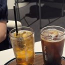 공빵 | 광주 챔피언스필드 카페 인크커피 내돈내산 후기｜야구공빵부터 굿즈샵, 티켓교환까지 한 번에!