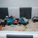 차타타 키즈카페 이미지