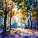 해뜨는 숲속 이미지