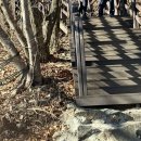 GR(울산광역시 울주군)-[석남로]-하-5 | 가지산 최단코스 : 석남터널-가지산 다녀온 썰 / 창녕이모집