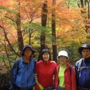 가을여행 이미지