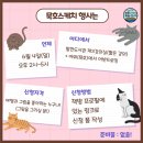 동해시립발한도서관 제3강의실 이미지