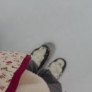 101호 | 평창자연휴양림 태기산 101호 후기