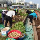 세류1동행정복지센터 이미지