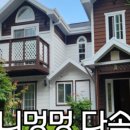 퍼니멍멍 다솜점 이미지