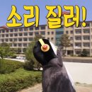 돈통마늘보쌈안양 이미지