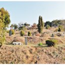 동연농장 이미지