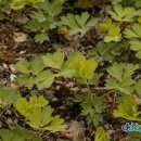 열우물경기장 이미지