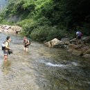 괴목민박 이미지