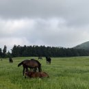 미동목장 이미지