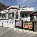 오묘 고양이카페호텔미용 이미지