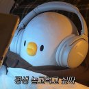고마움으로 가득한 내 일상