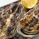 사계절 수산 이미지