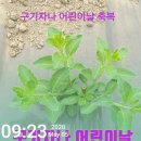 법인천내원