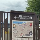 영산포홍어보쌈 | [나주] 영산포 초보도 먹을 수 있는 홍어 맛집 추천 홍어1번지