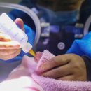 쌍둥이민박 이미지