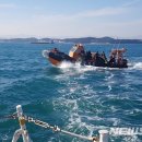 동해-단속-10 이미지