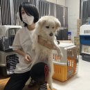 쏭트리밍 이미지