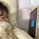 먹짱