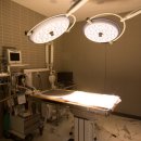 플러스동물의료센터 이미지