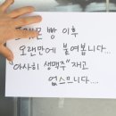 디자인라이언
