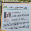 무궁화펜션 | 5월여행 강원도 홍천 무궁화수목원