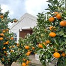 너와제주 이미지