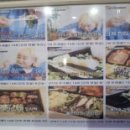 영월맛집 박가네 이미지