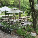 A4 행정사사무소 이미지