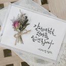 기념일 드라이플라워 캘리그라피 액자 만들기