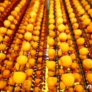 연풍영농조합법인 이미지