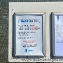 11650-7-2-23 | 23개월 아기와 광교호수공원 피크닉 후기｜푸른숲도서관 주차·피크닉존 위치